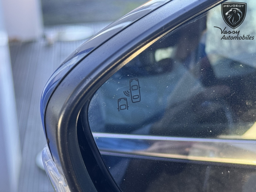 Citron C4 Picasso (2) BlueHDi 120 S&S BVM6 94g Business +